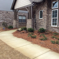 Shrubs-Sod 6